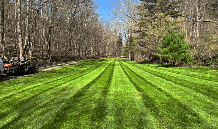 Cut Above Lawn & Tree
