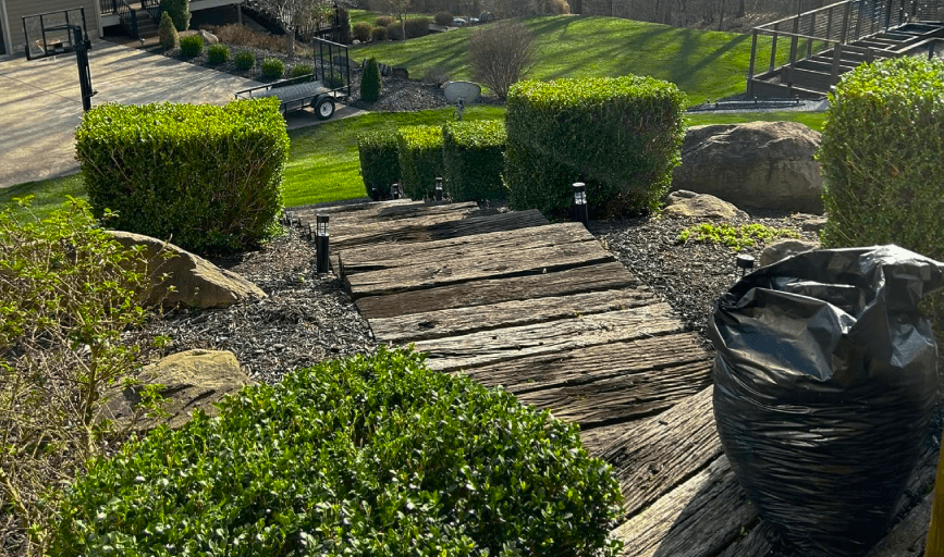 Cut Above Lawn & Tree